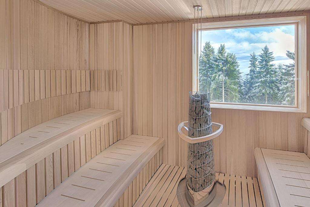 Fotografie z fotogalerie ubytování Apartment Hotel Orion v destinaci Abertamy