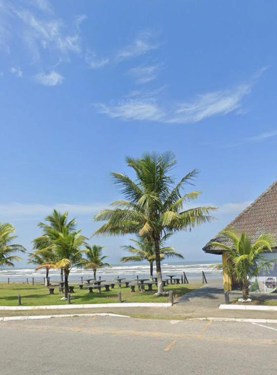 a view of a beach with palm trees and the ocean at Casa para temporada Peruíbe - SP in Peruíbe