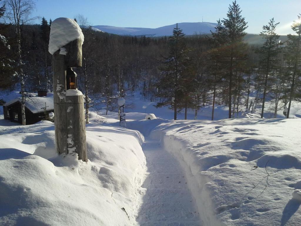 une route recouverte de neige avec des arbres en arrière-plan dans l'établissement Stena Cabins & Apartments, à Äkäslompolo