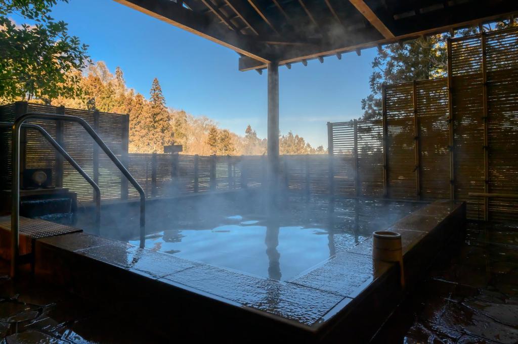 Vergrößerte Ansicht