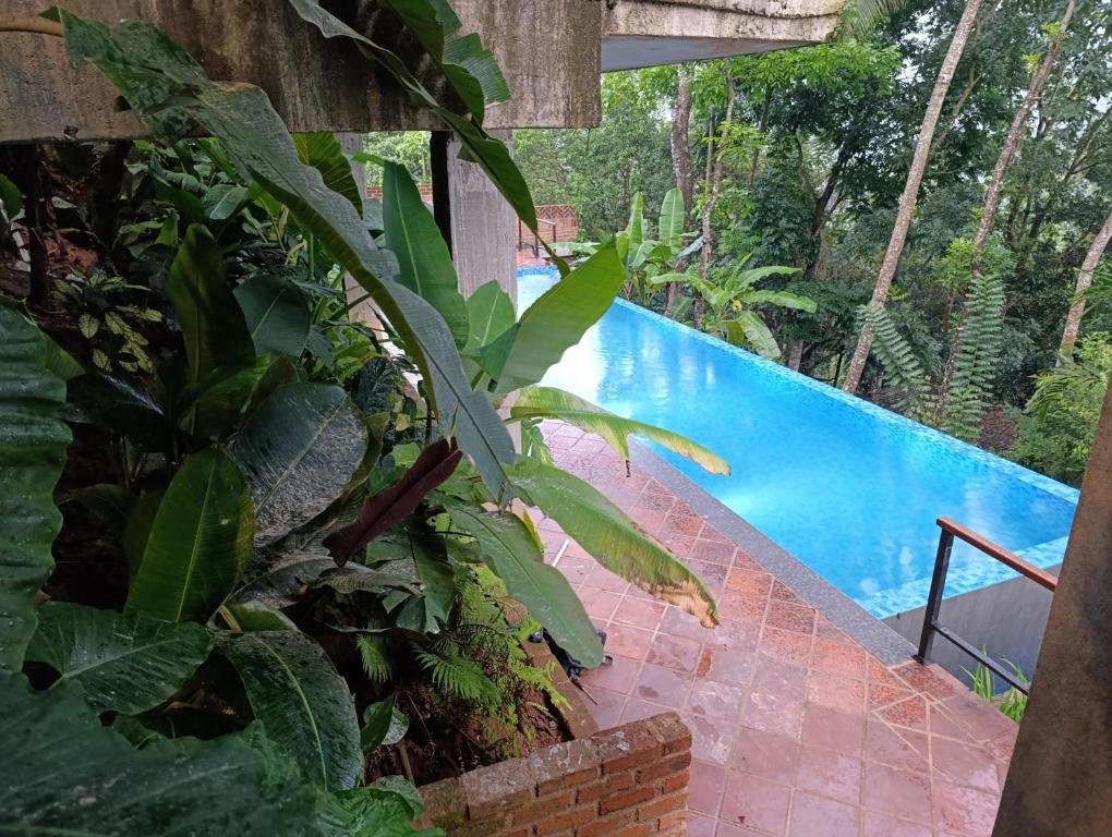 Bazén v ubytování Kandy Bird Villas nebo v jeho okolí
