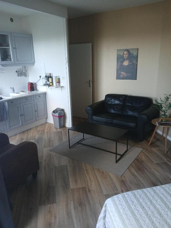 un salon avec un canapé et une table dans l'établissement 1Centre ville avec parking, à Montauban