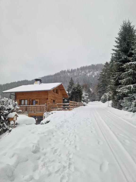 Alpine 1 bed Chalet with beautiful views v zimě