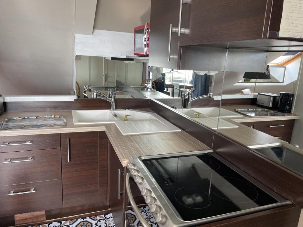 Kuchyň nebo kuchyňský kout v ubytování Appartement Newport vue mer
