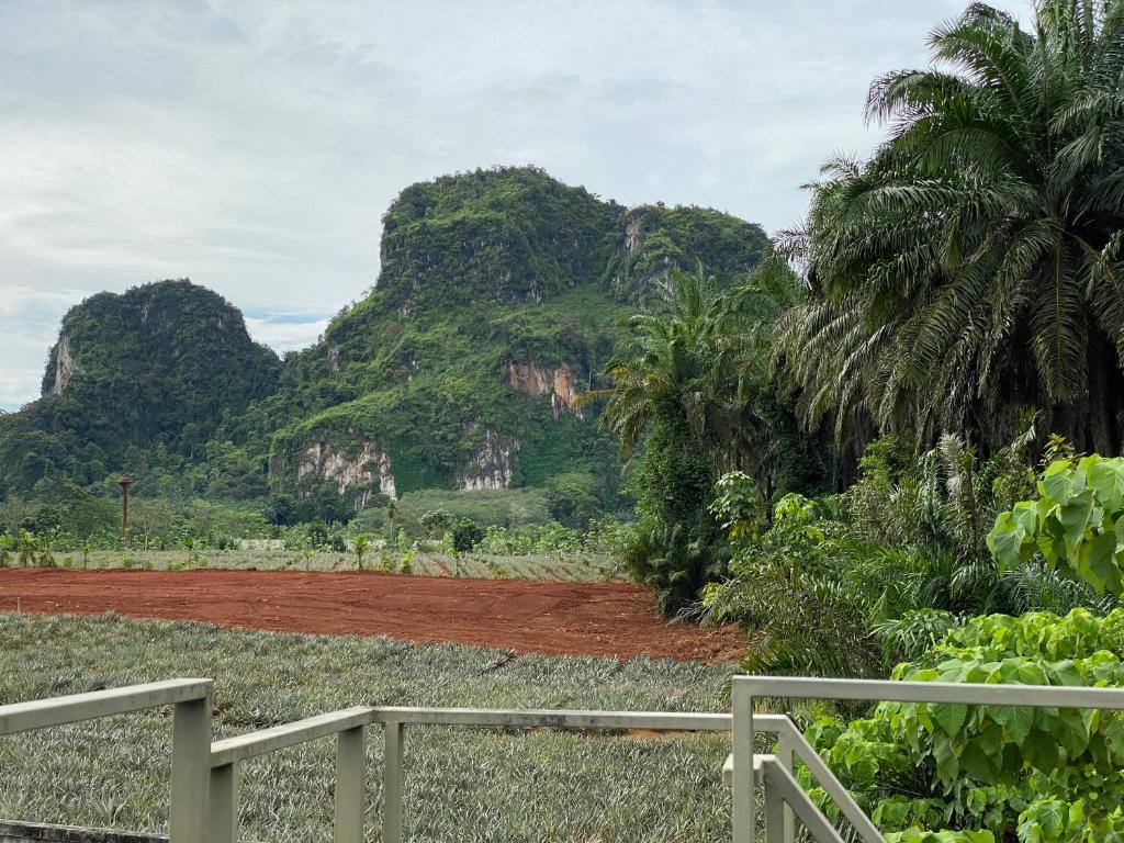 Paesaggio naturale nelle vicinanze della casa vacanze