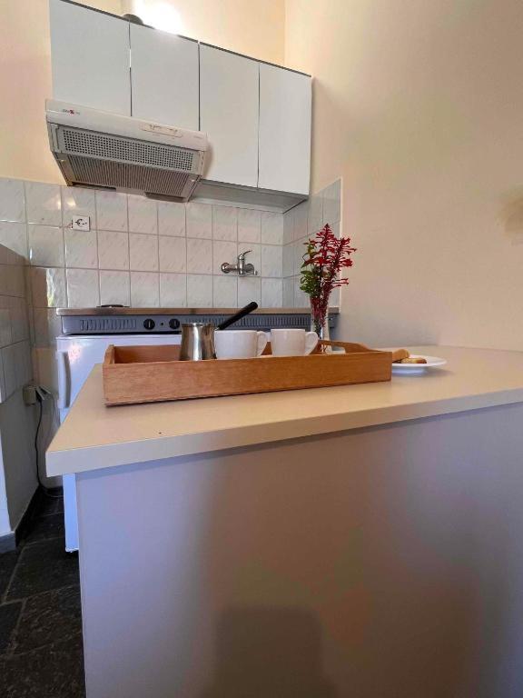 A kitchen or kitchenette at KASTRO AGGELIKI
