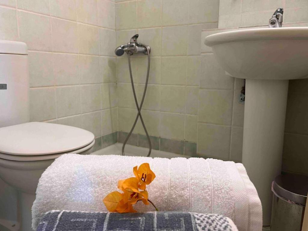 A bathroom at KASTRO AGGELIKI