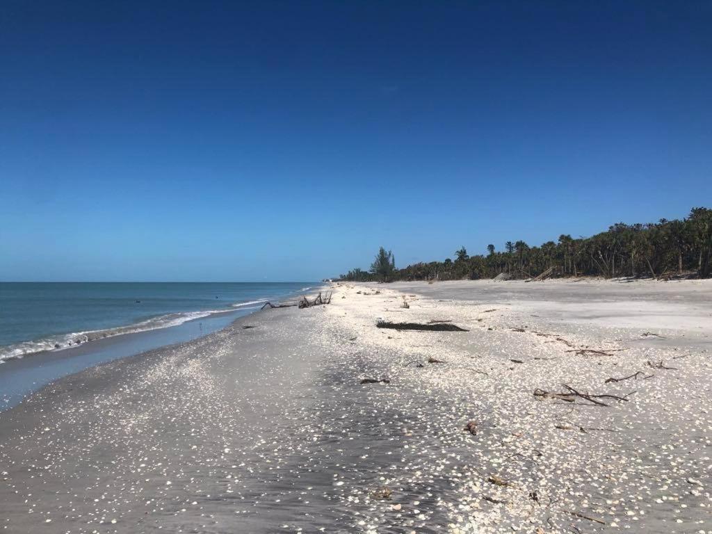 Phong cảnh thiên nhiên gần biệt thự