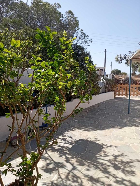 Gallery image of Kalliopi's studio in Kithnos