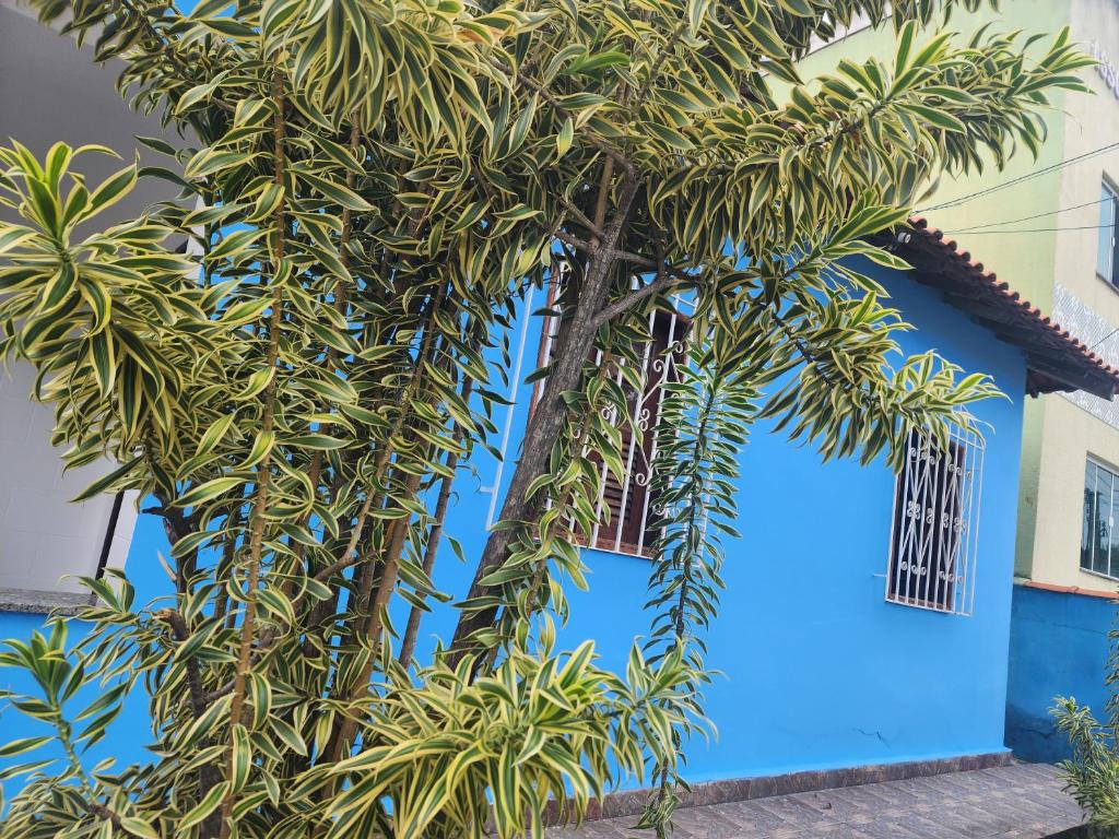 ein blaues Gebäude mit Palmen davor in der Unterkunft Casa no coração de Maricá in Maricá