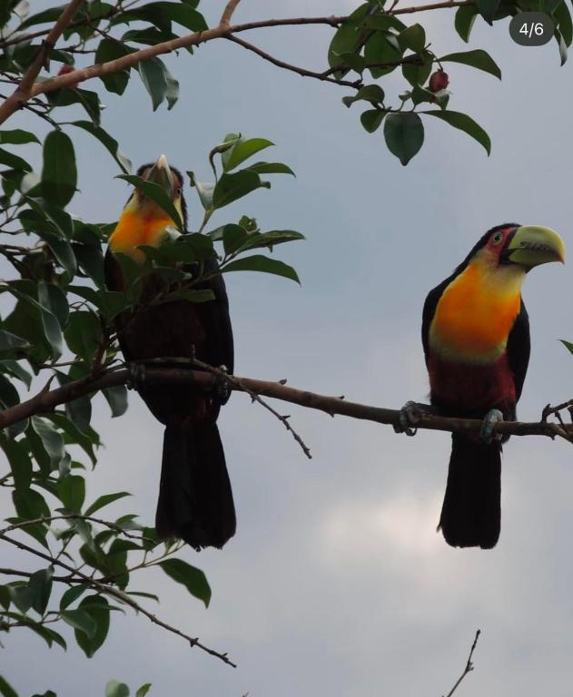 Reserva Mauá chalés