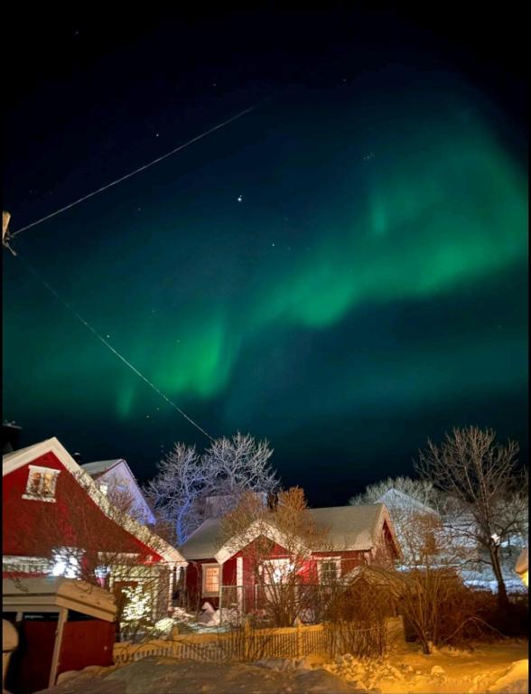 an image of the aurora in the sky over a house at Nydelig hytte i Kabelvåg Lofoten in Kabelvåg
