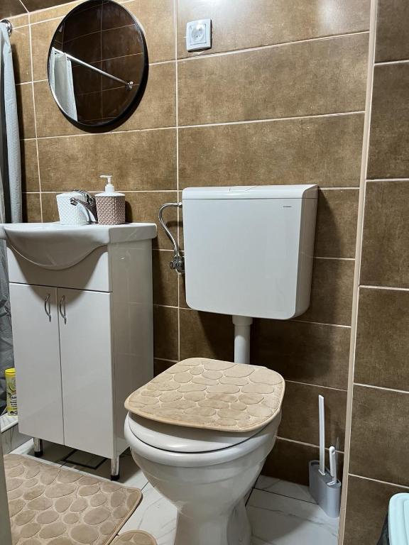 Koupelna v ubytování Apartman i sobe Milica Vrnjacka Banja