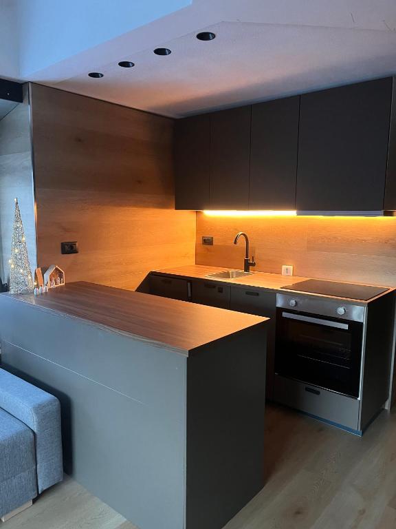Kuchyň nebo kuchyňský kout v ubytování Suite 1400