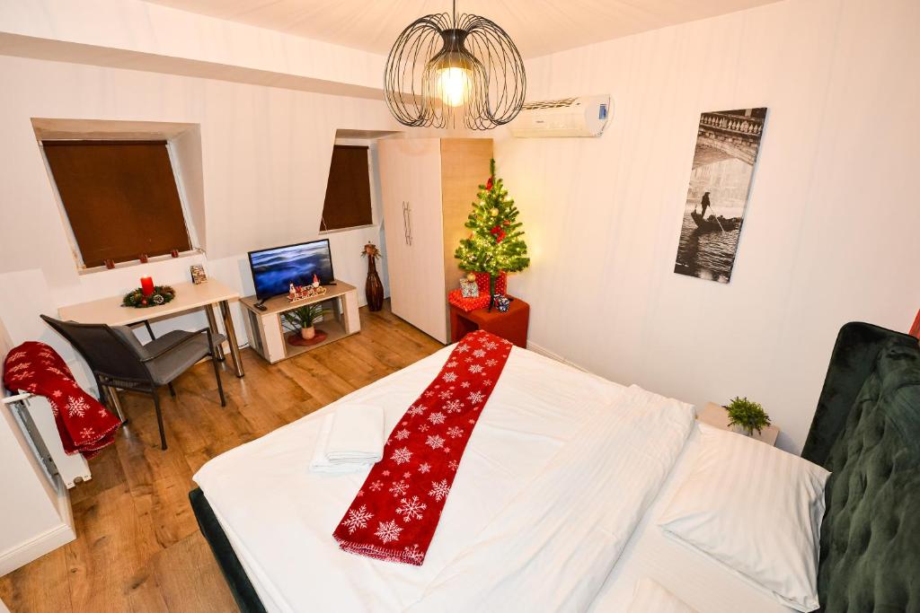 Budget Accommodation - Estudio Estándar