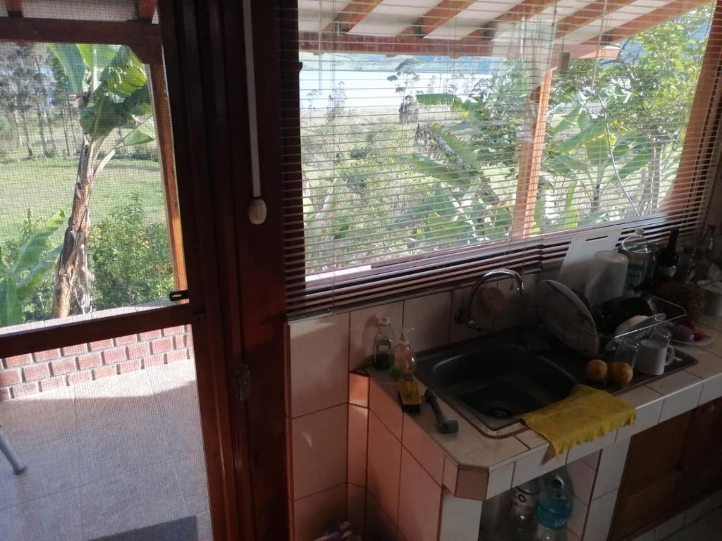 Vaquitas Pintaditas, Pomacochas