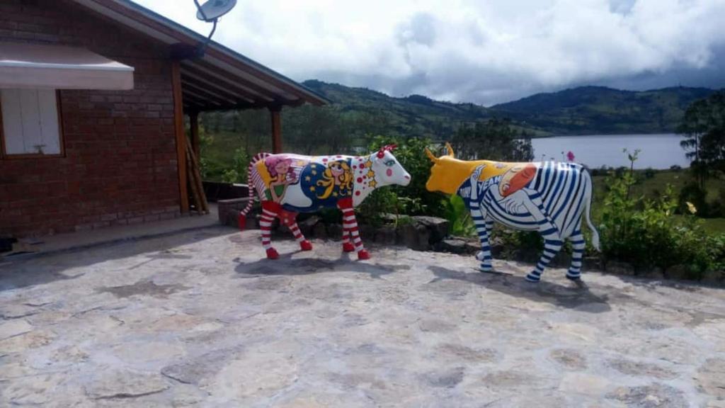 Vaquitas Pintaditas, Pomacochas