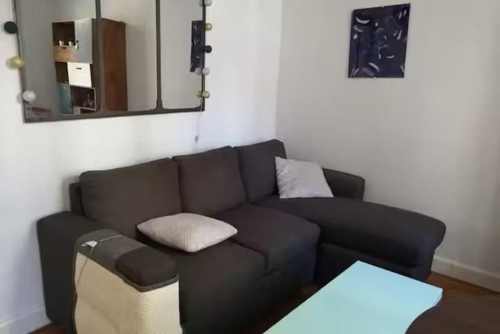 - un salon avec un canapé brun et un miroir dans l'établissement Apartment near Fort de Montrouge, à Montrouge