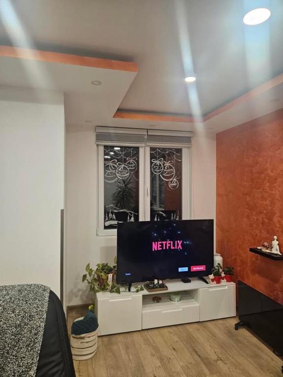 TV a/nebo společenská místnost v ubytování Apartman Zlatar-Vasiljevic