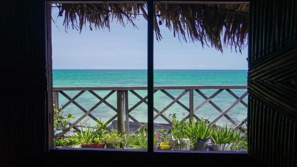 CARDUMEN ARTE y COCINA