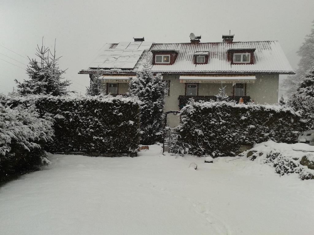 a house covered in snow in front of a yard at Paul-S Apartman in Bad Hofgastein