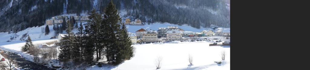alpinea Appartements v zimě