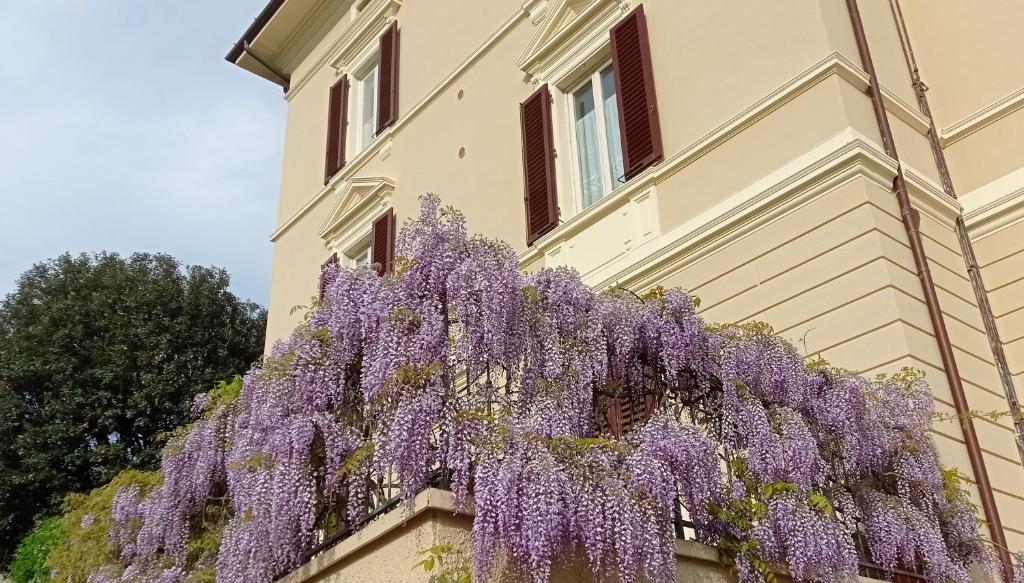 A garden outside Il Pettirosso