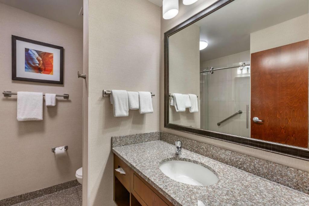 Koupelna v ubytování Drury Plaza Hotel Phoenix Tempe