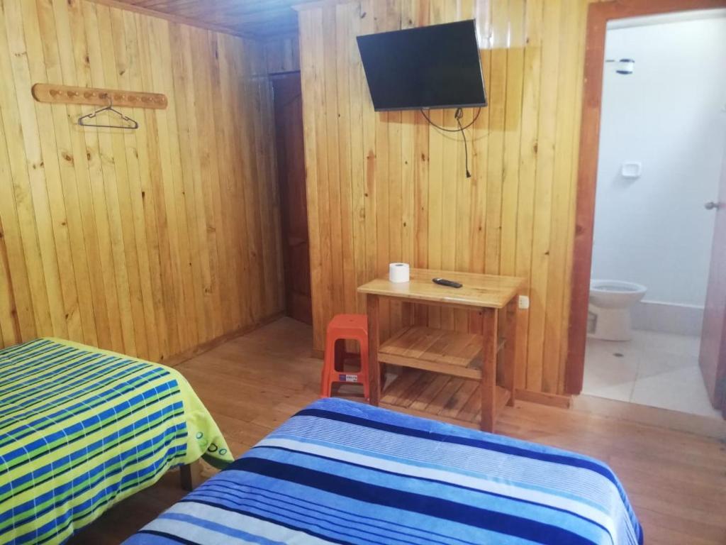 TV a/nebo společenská místnost v ubytování HOSPEDAJE CAMPOS ELÌSEOS
