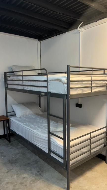 
Bunk Bed in Female Dormitory Room  
