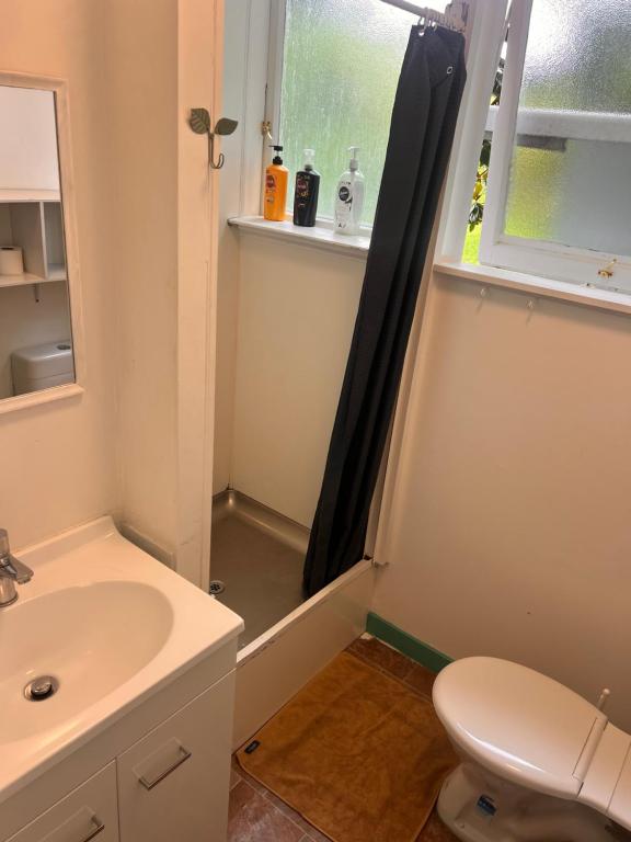 Lower level unit in the backyard, past the gate on the right of house - Resim 3