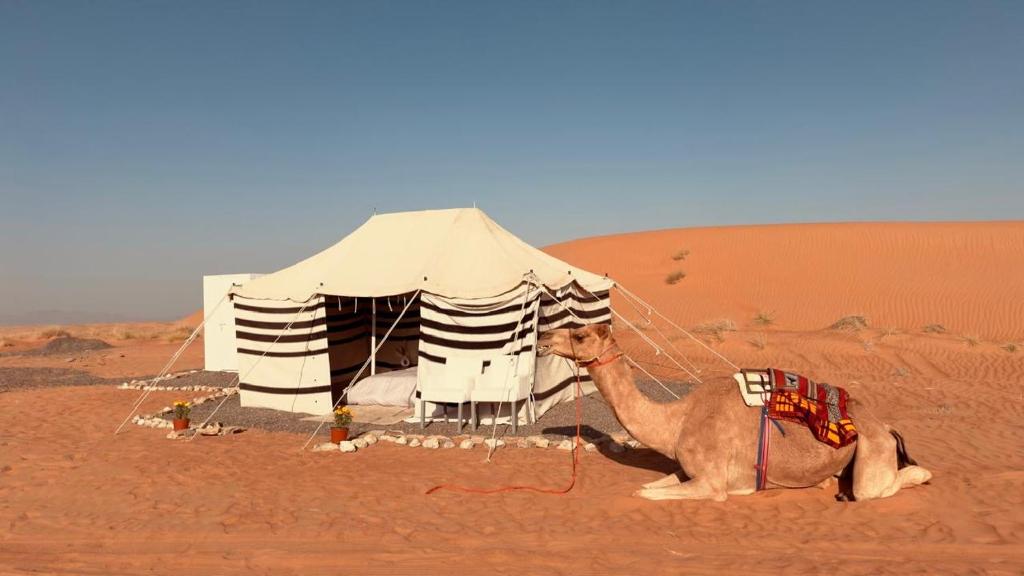 Fotografie z fotogalerie ubytování Sands Horizon camp v destinaci Al Wāşil