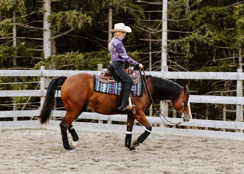 Horseback riding at a szállodákat or nearby