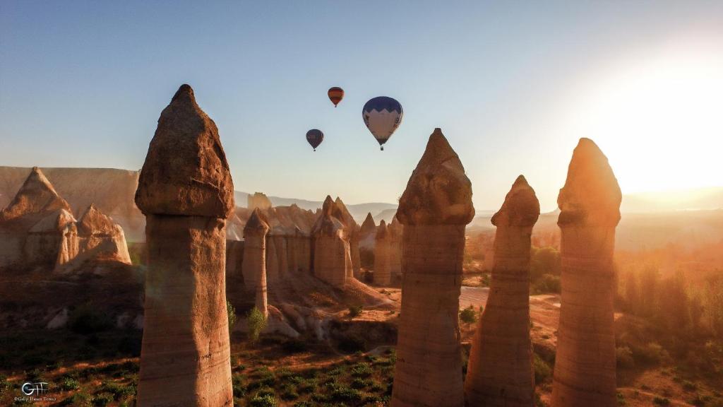 Sun Rise View Hotel - 13