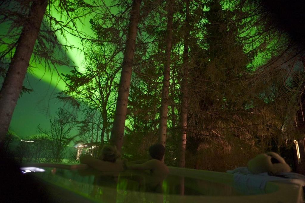 Příroda nedaleko prázdninového domu