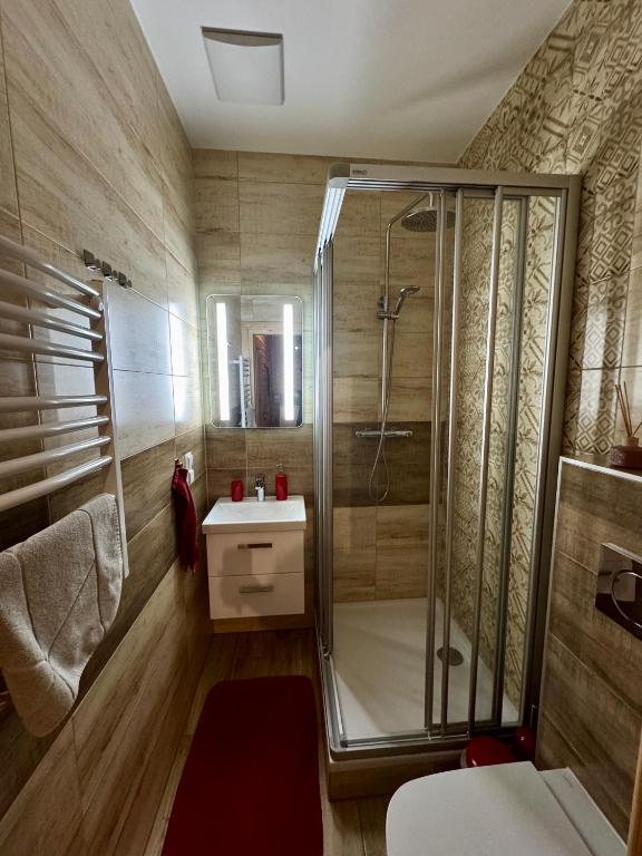 Apartamenty u Gąsiorów - 13