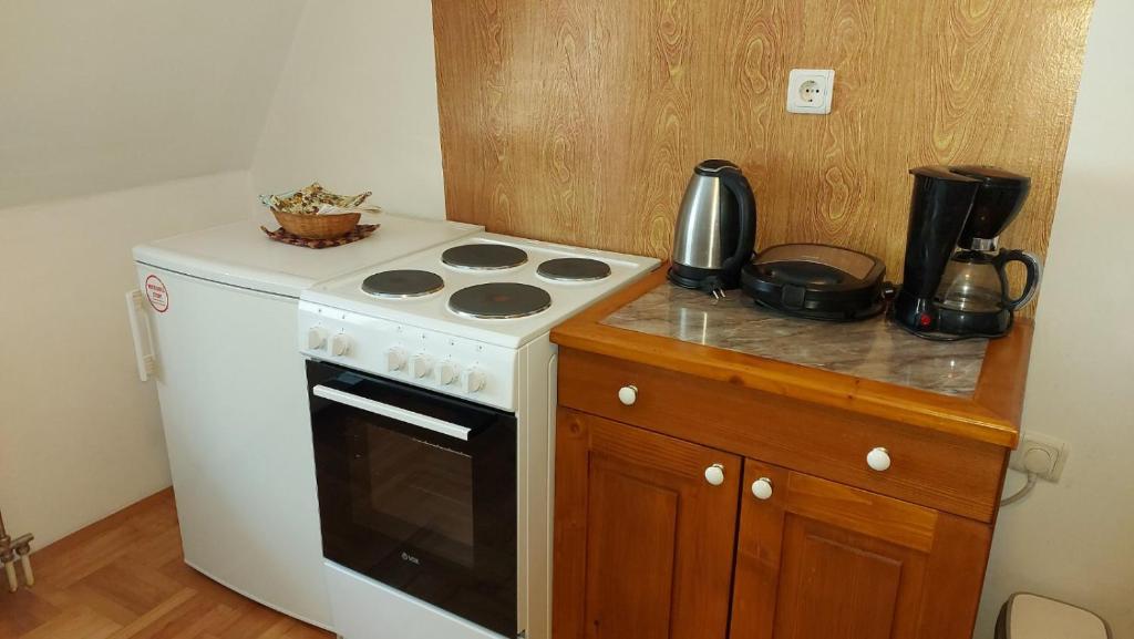 Kuchyň nebo kuchyňský kout v ubytování Marko'S Apartments