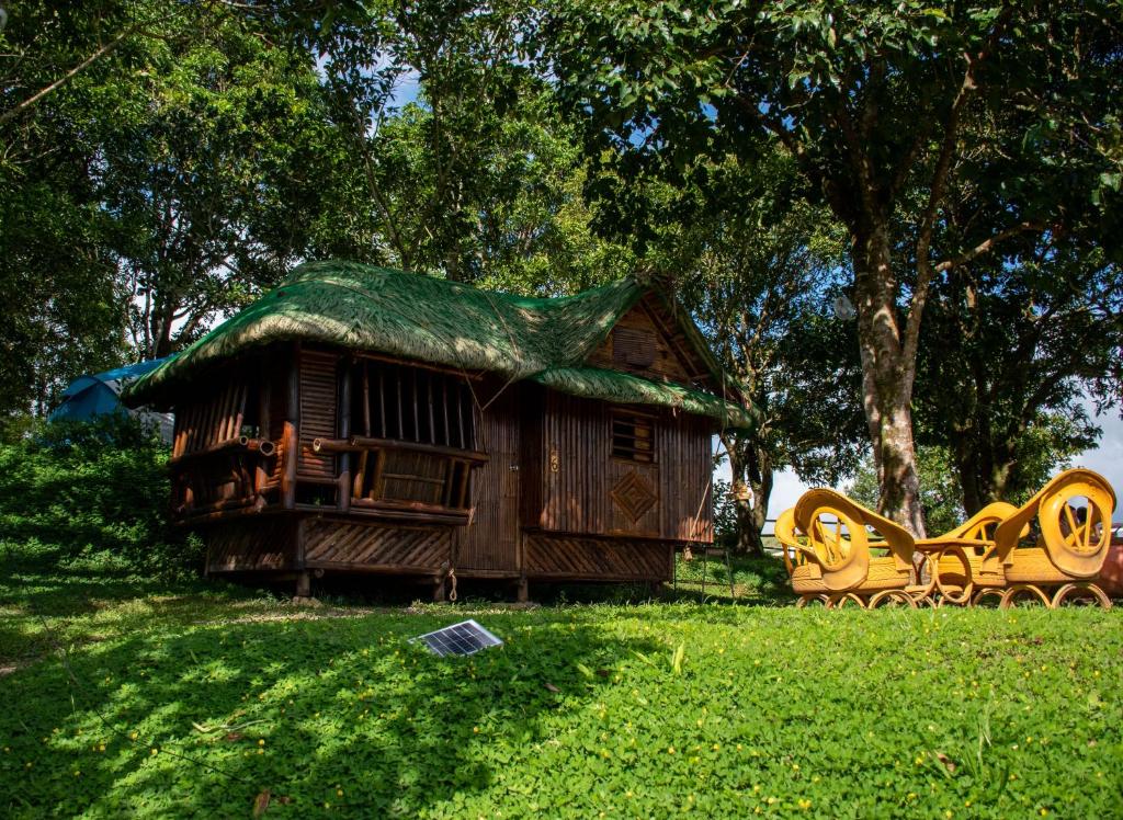 Zahrada ubytování The Apiary Mountain Camp and Farm