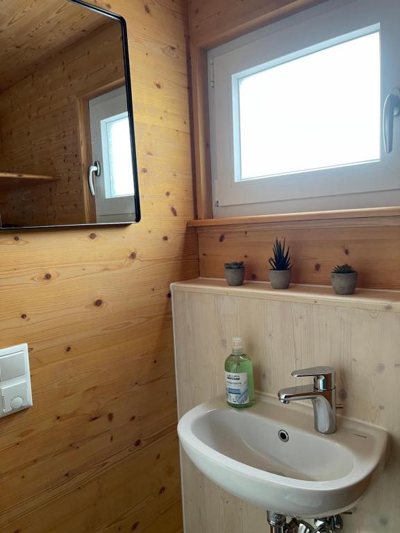 un bagno con lavandino e specchio di Tiny House Lodges Zillertal a Unterberg