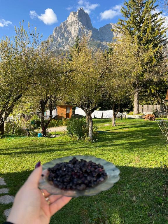 Nespecifikovaný výhled na hory nebo výhled na hory při pohledu z bed and breakfast