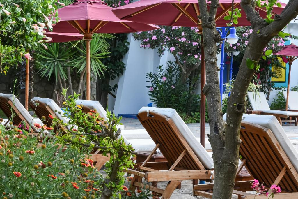 Zahrada ubytování Marphe Hotel
