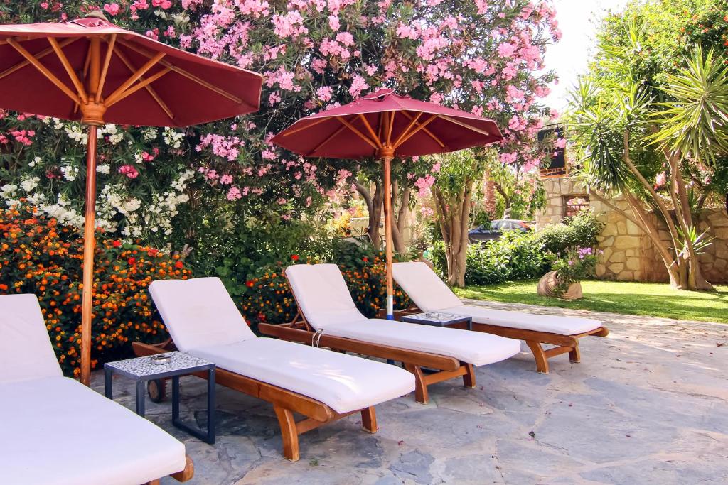 Zahrada ubytování Marphe Hotel
