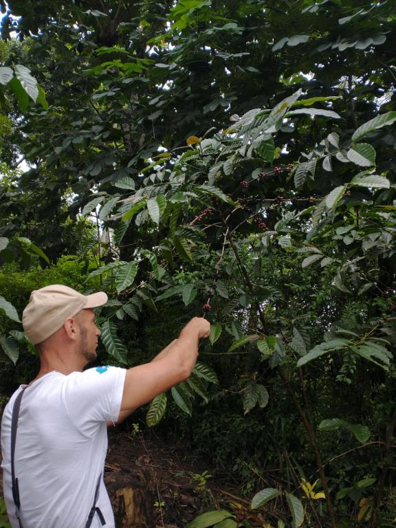 Lady Gordons Homestay - 6