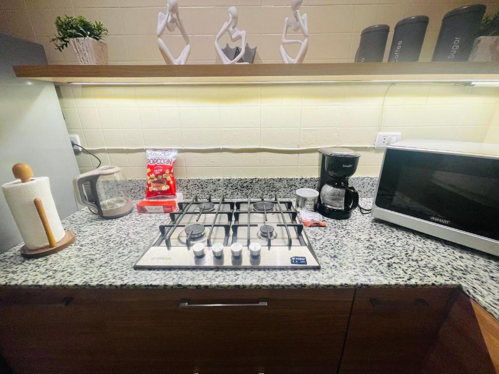 Kuchyň nebo kuchyňský kout v ubytování Mokattem private Condo