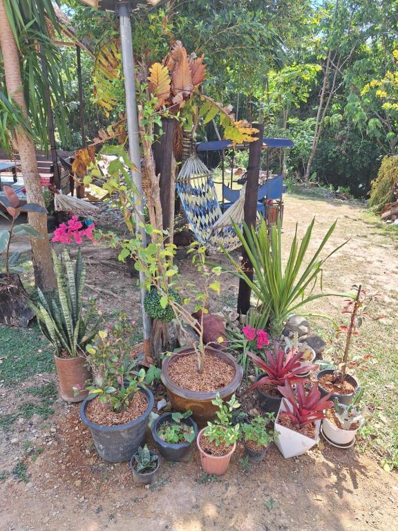 Lanta Happy House - 7