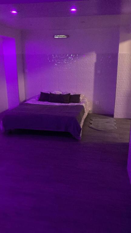 Le Cocon - Standard Studio