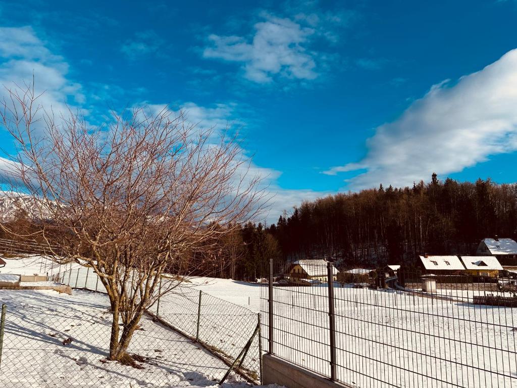 Chalet PJagodic v zimě
