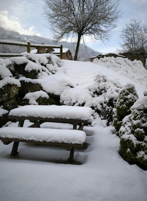 un banc recouvert de neige à côté de quelques buissons dans l'établissement Nice T2 with south facing terrace Flumet, à Flumet