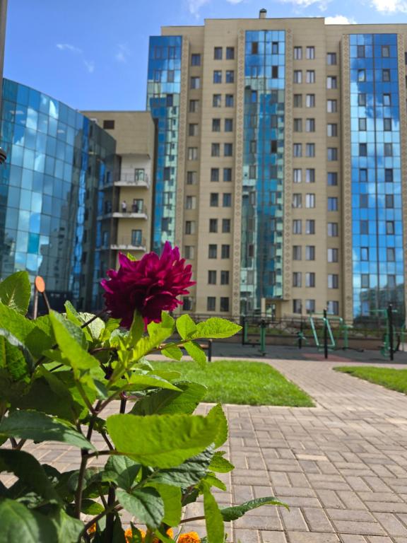 eine Blume vor einigen hohen Gebäuden in der Unterkunft Апартаменты Астаны in Astana