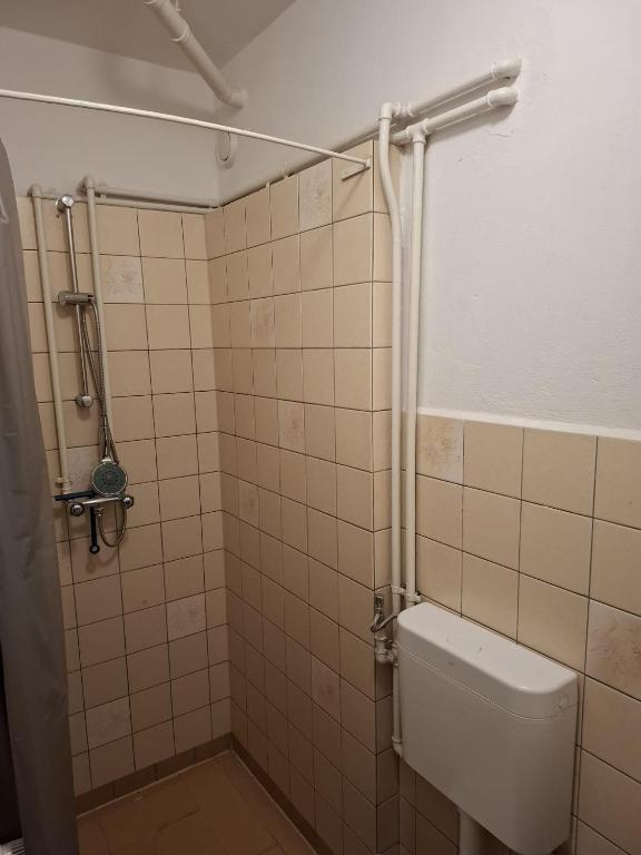 Koupelna v ubytování Ferienheim Sorgenfrei